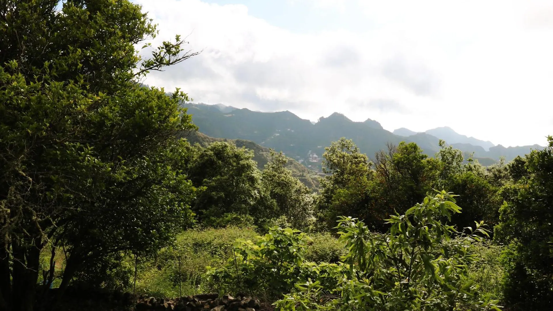Monte Verde Chinamada Apartmán