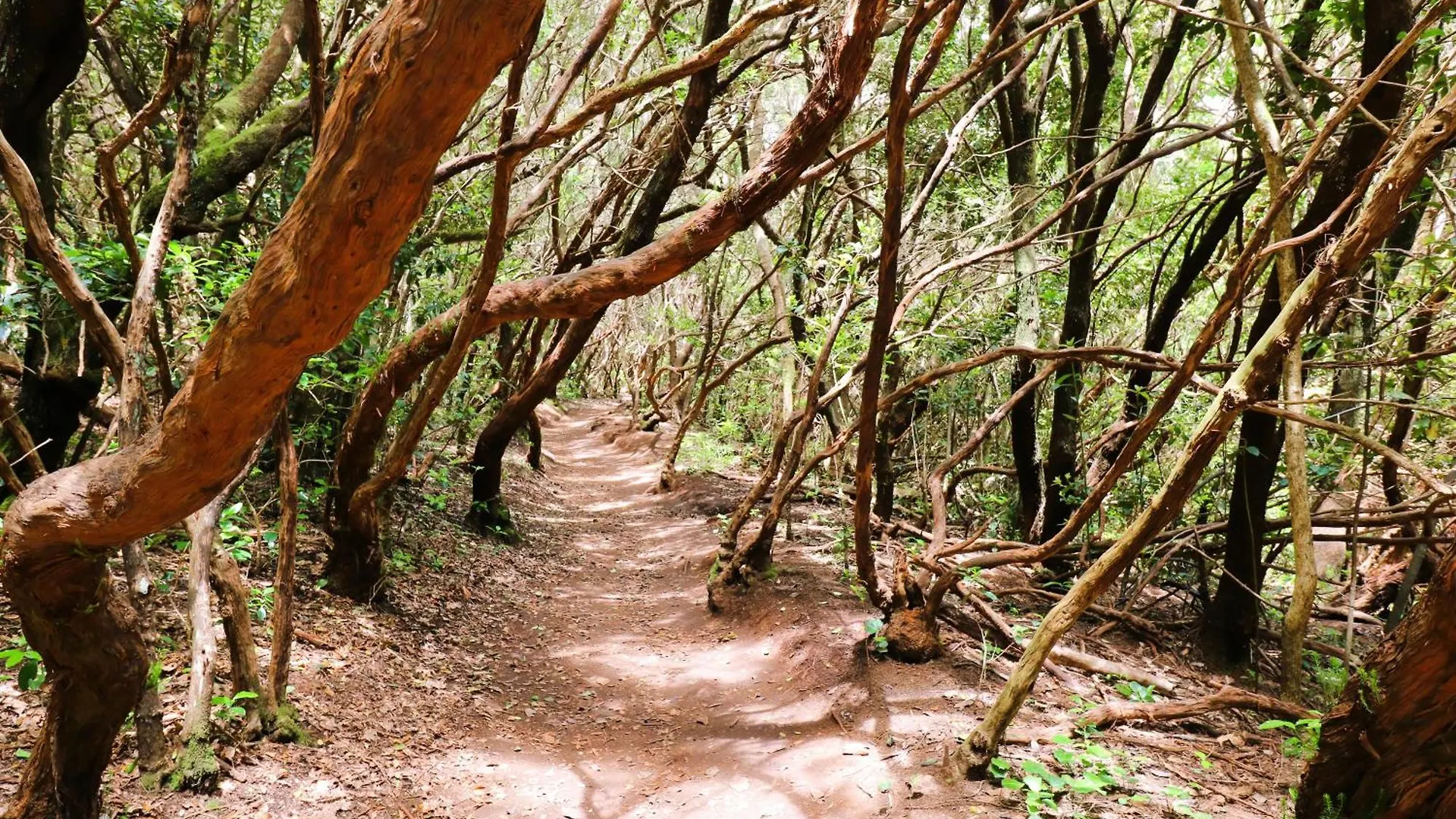 Monte Verde Chinamada Apartmán