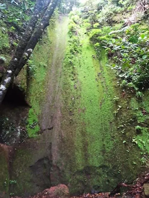 Monte Verde Chinamada